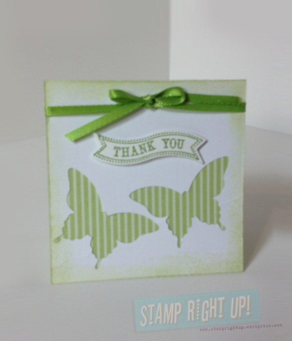 3x3 Note Card Gift - Elegant Butterfly Punch & Wild Wasabi DSP