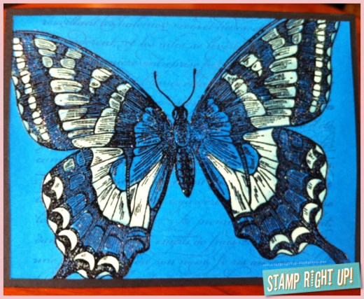 Bleached Swallowtail on Pacific Point with En Francais background stamp Bleached Swallowtail on Pacific Point with En Francais background stamp