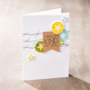 Yee Haw Western Rodeo Girls & Boys Themed Stamp Set purchase at Stamp Right Up Online