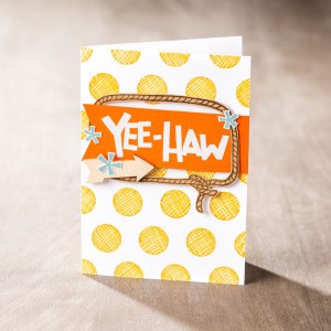 Yee Haw Western Rodeo Girls & Boys Themed Stamp Set purchase at Stamp Right Up Online