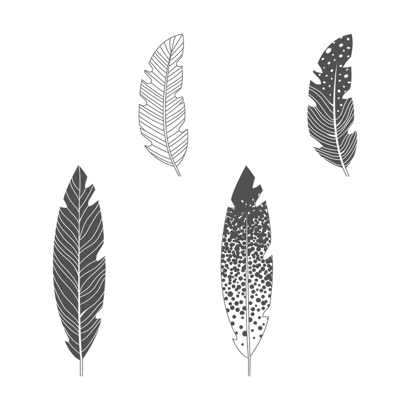 Stampin Up Four Feathers giveaway from Wendie Bee of Stamp Right Up